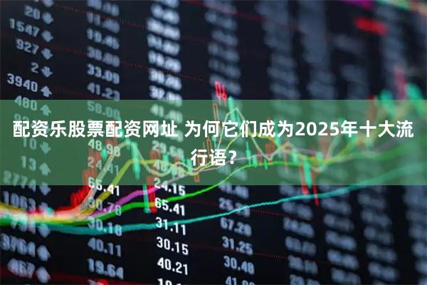配资乐股票配资网址 为何它们成为2025年十大流行语？